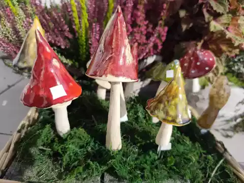 Grzyb ceramiczny 20