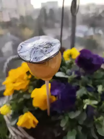 makówka ceramiczna