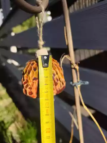 dzwonek ceramiczny