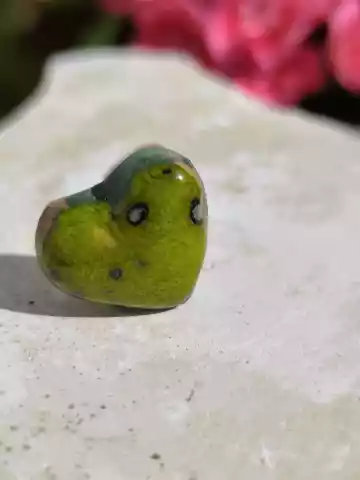 Miniatura 1