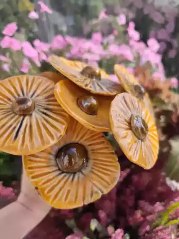 Ceramiczne kwiaty morelowe