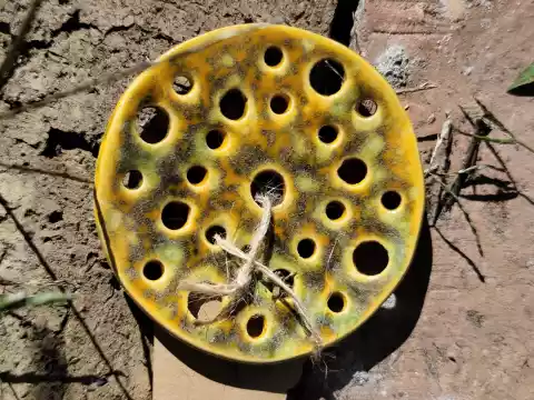 Mydelniczka ceramiczna sitko