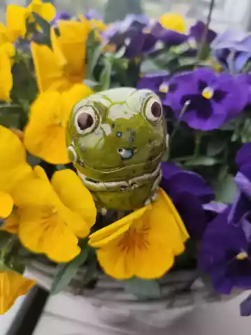 Żabka ceramiczna zielona