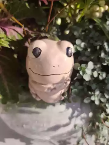 Żaba ceramiczna różowa