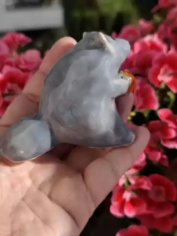 Szop pracz ceramiczny