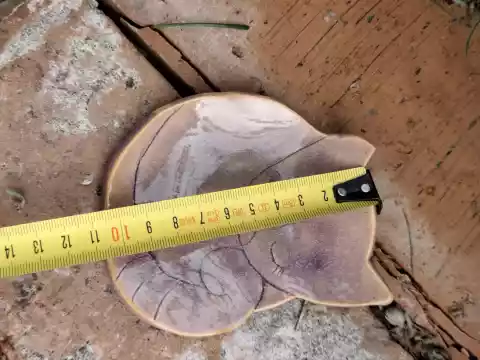 Pojemnik na biżuterię kot