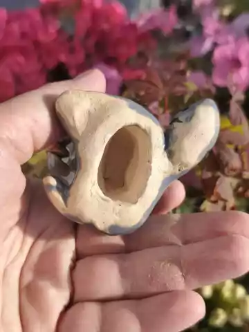 Szop pracz ceramiczny