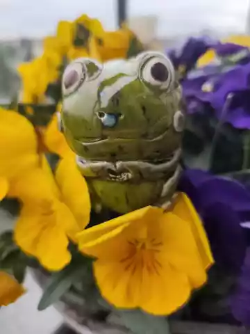 Żabka ceramiczna zielona