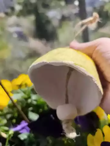 dzwonek ceramiczny