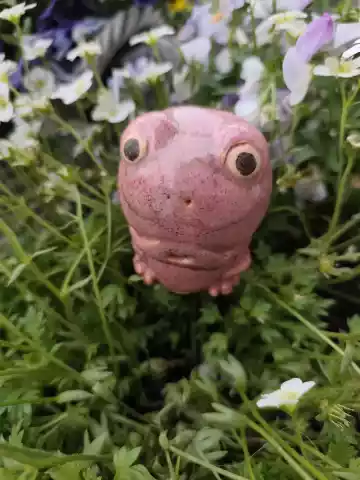 żabka ceramiczna