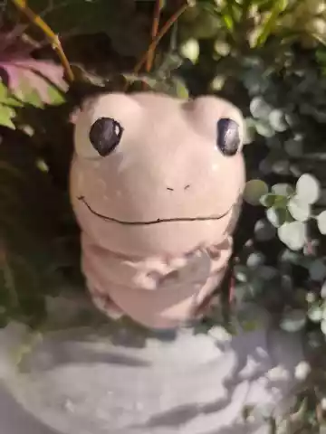 Żaba ceramiczna różowa