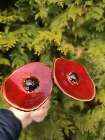 kwiaty ceramiczne 2 szt