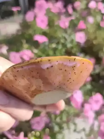 Pojemnik ceramiczny na biżuterię, do kuchni.