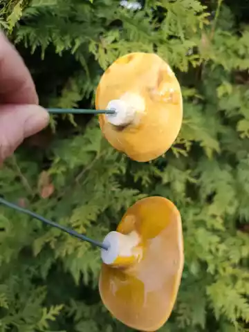 kwiaty ceramiczne 2 szt