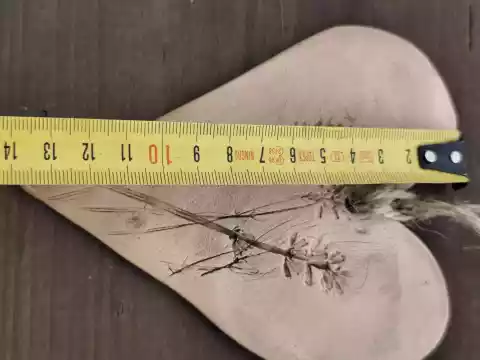 Serce ceramiczne natura