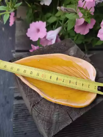 Pojemnik ceramiczny liść 36_38