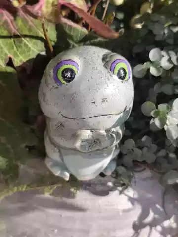 żaba ceramiczna 5