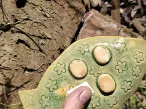 Mydelniczka ceramiczna ryba pełna