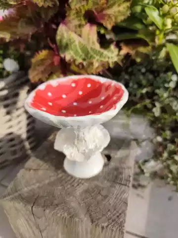 Grzybek ceramiczny miska g11
