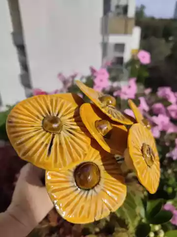 Ceramiczne kwiaty morelowe