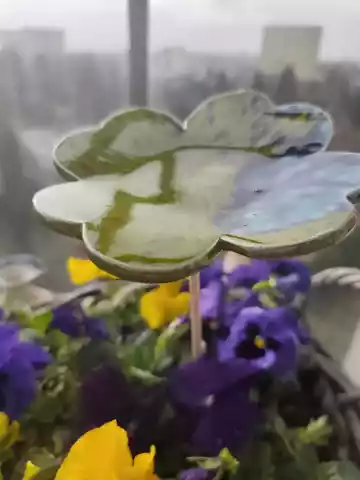 koniczyna ceramiczna poidło