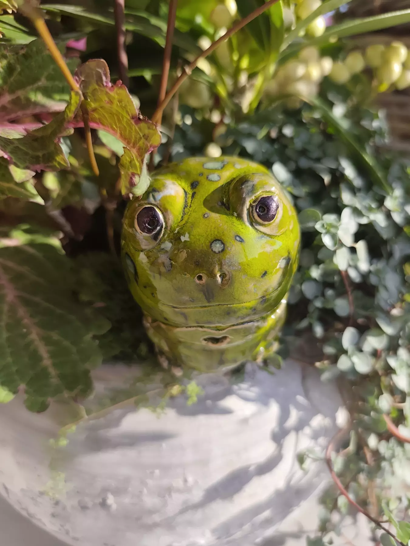 Żaba ceramiczna 3