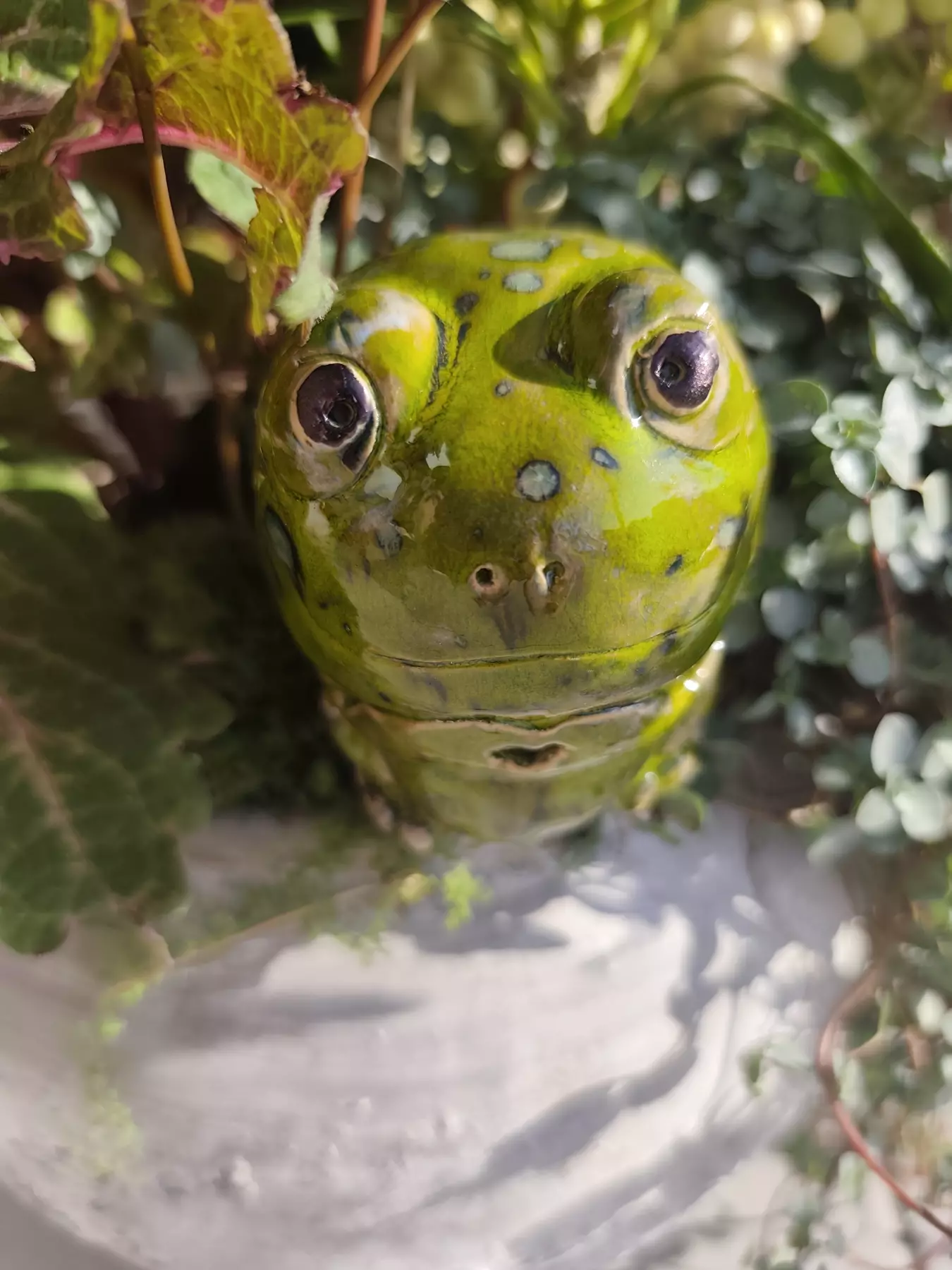 Żaba ceramiczna 3