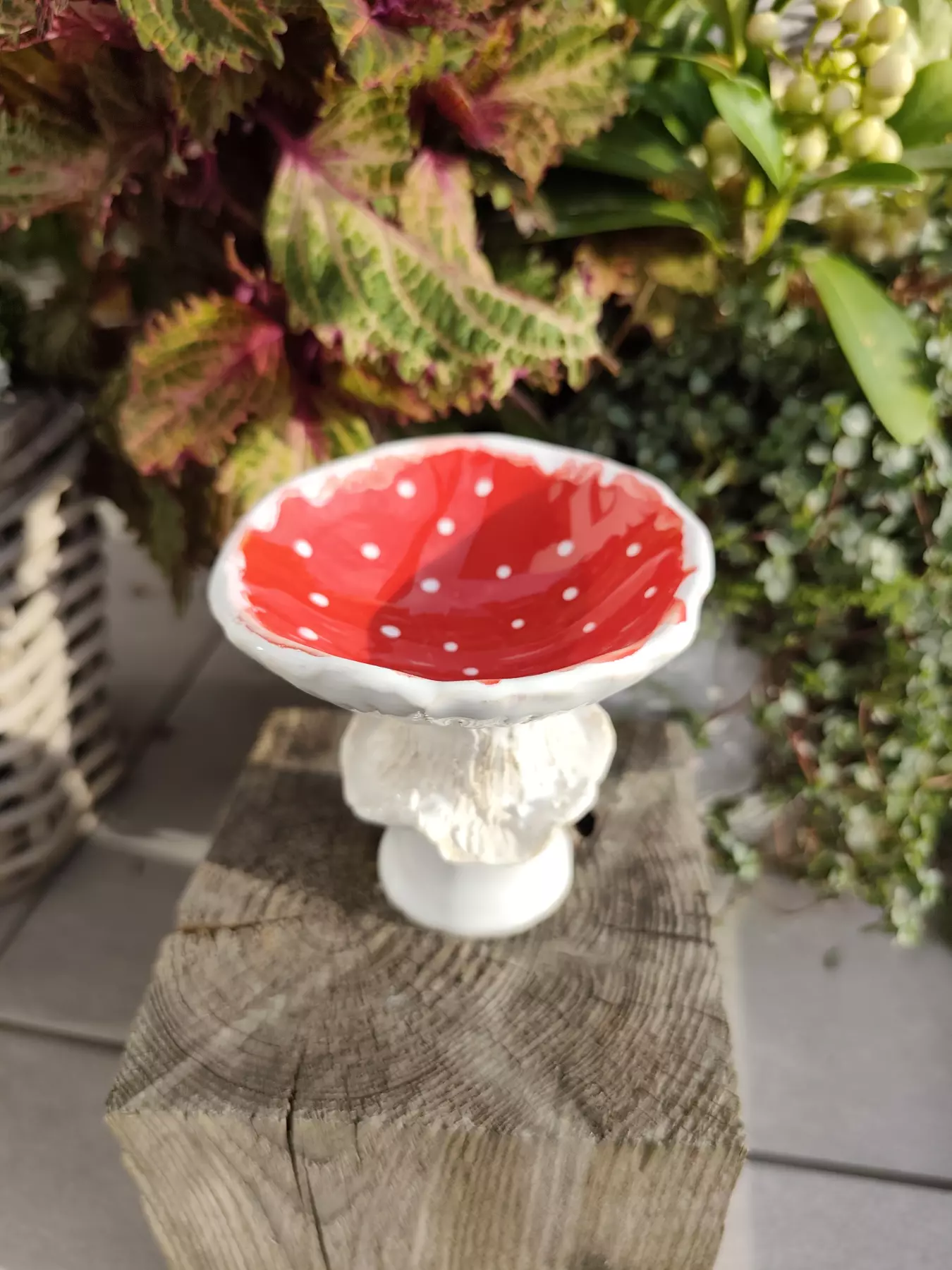 grzybek ceramiczny miska g11