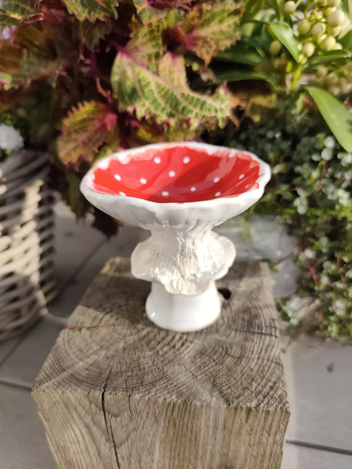 Grzybek ceramiczny miska g11
