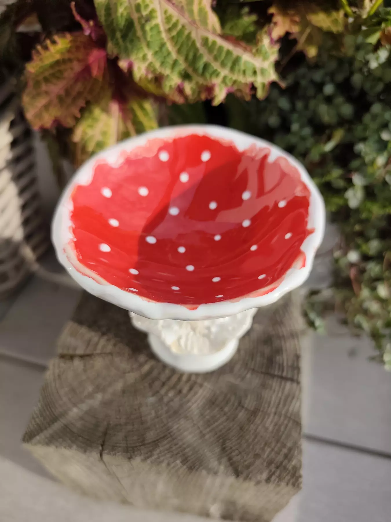 Grzybek ceramiczny miska g11