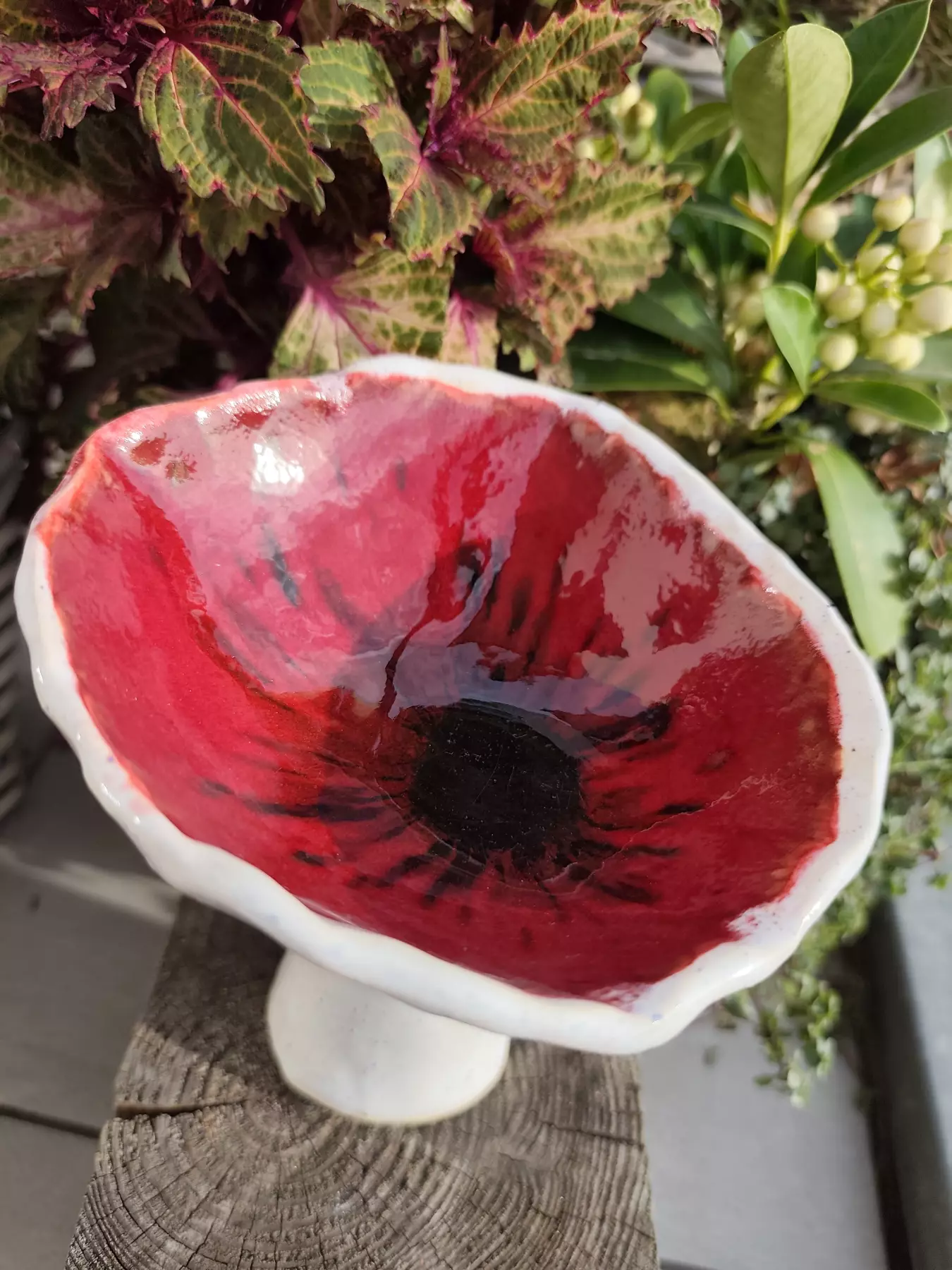 grzybek miska ceramiczna g13