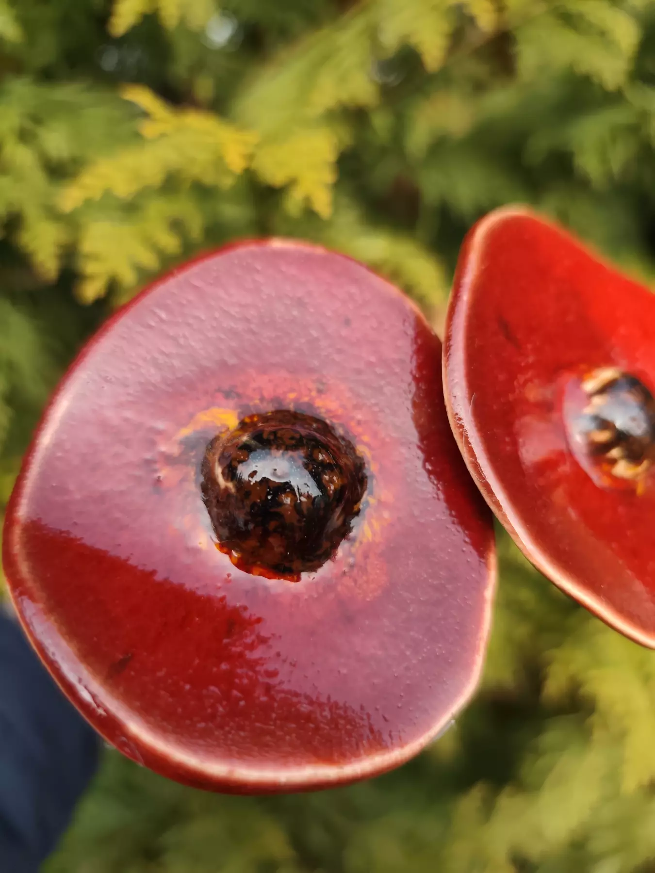 kwiaty ceramiczne 2 szt