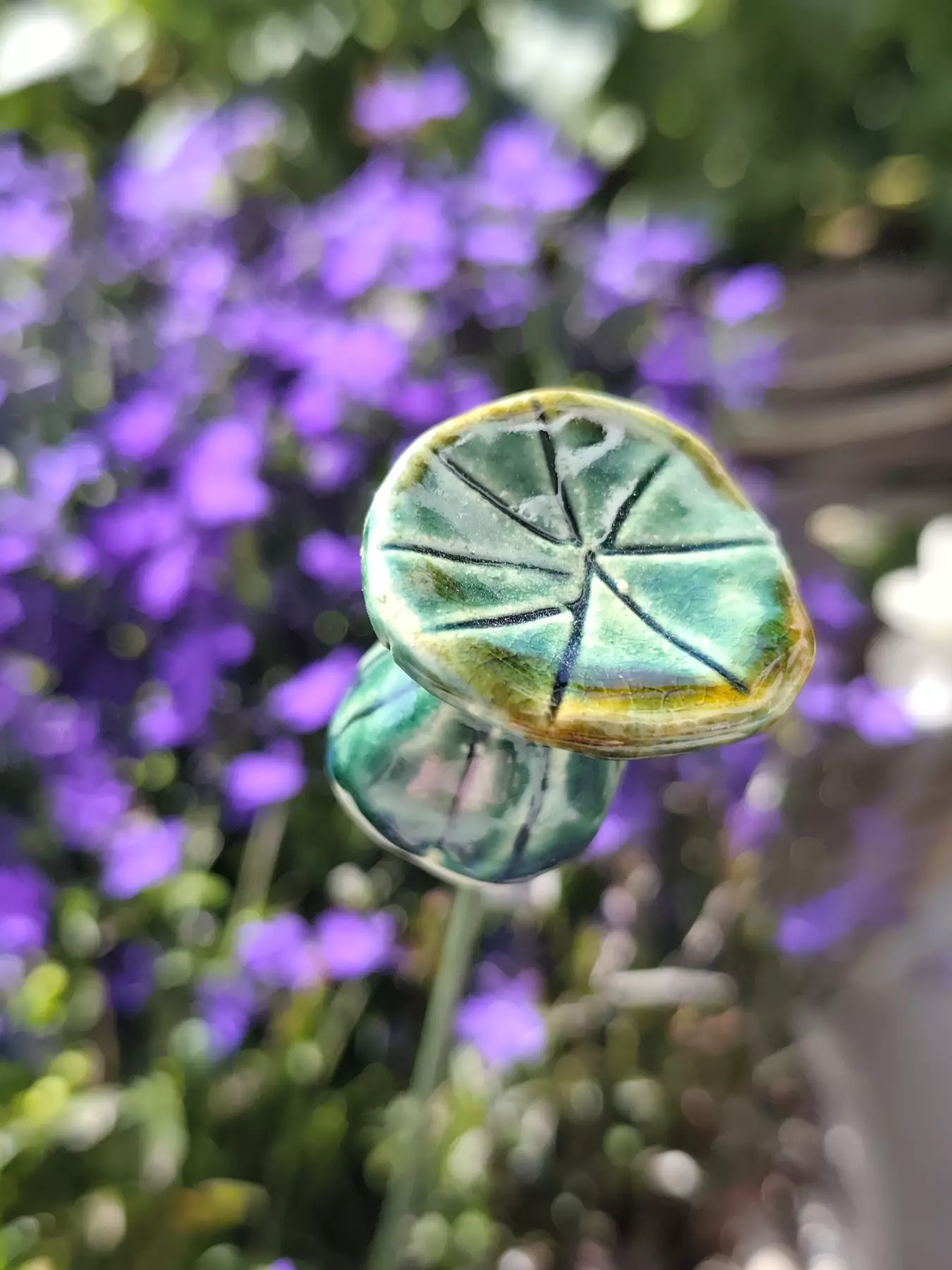 Makówki zielone
